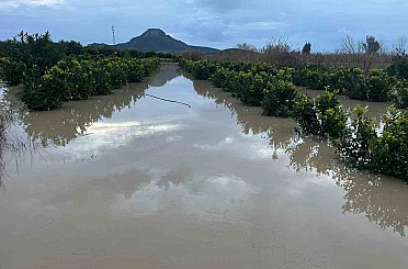 Adana’da şiddetli yağış, tarlaları sular altında bıraktı 