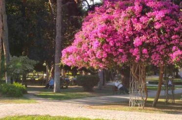 Adana’da yazdan kalma günler yaşanıyor 