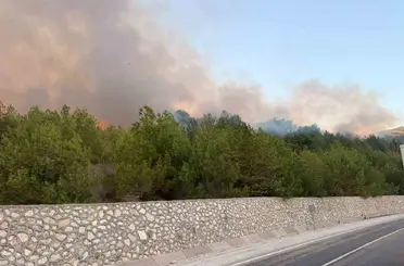 Adana’daki orman yangını kontrol altında