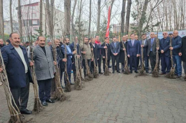 Adilcevaz’da 12 bin aşılı ceviz fidanı dağıtıldı 