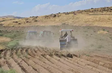 Adilcevaz’da buğday ekim sezonu başladı