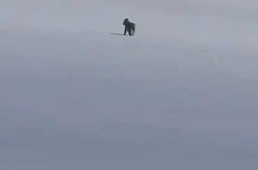 Adilcevaz’da kar üzerinde vaşak görüntülendi 