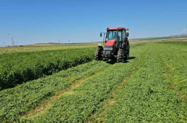 Adilcevaz’da ot biçme sezonu başladı 