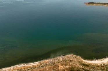 Adilcevaz’da Van Gölü sahili yeşile büründü 