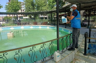 Adıyaman Belediyesi’nden üvez ve sivrisineğe karşı kesintisiz mücadele 