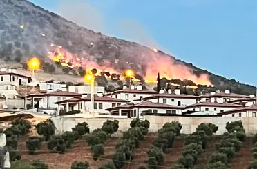 Adıyaman’da ormanlık alanda korkutan yangın
