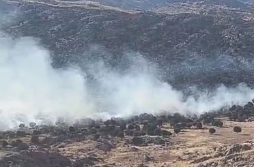 Adıyaman’da ormanlık alanda yangın 
