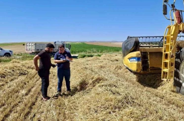 Afyonkarahisar’da hububat hasadı başladı 