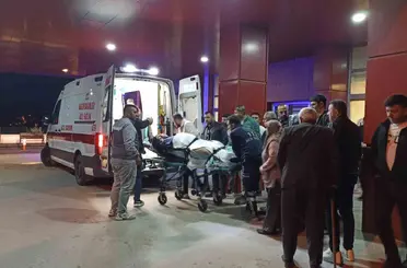 Ağabeyini tüfekle vurdu