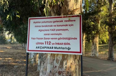 Ağaçlara yazı yazanları tabela ile uyardı 