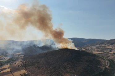 Ağaçlık alandan yükselen dumanlar kilometrelerce uzaktan görüldü 