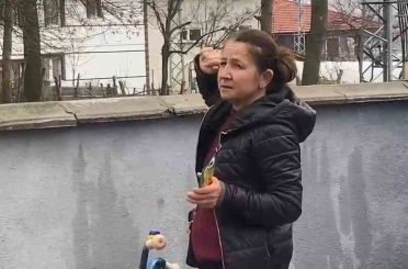 Ağaçta mahsur kalan kedi bir haftadır kurtarılmayı bekliyor 