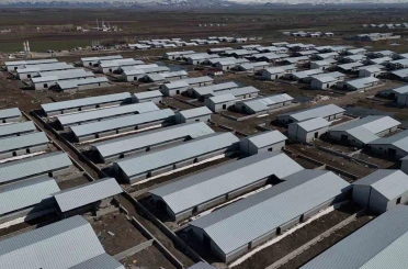 Ağrı’da 307 ahırlık hayvancılık üssü hayata geçiyor 
