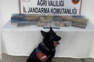 Ağrı’da bin 227 paket gümrük kaçağı sigara ele geçirildi