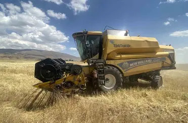Ağrı’da buğday biçme sezonu başladı
