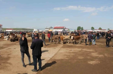 Ağrı’da Canlı Hayvan Borsası 10 Eylül’de açılacak 
