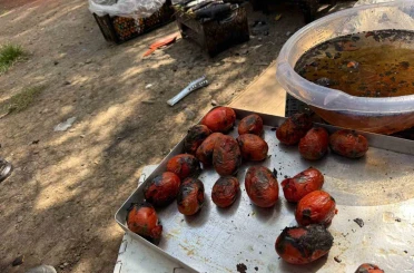 Ağrı’da kış hazırlıkları başladı 