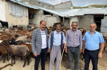 Ağrılı çiftçilere müjde: Yetiştiricilere yüzde 50 hibeli makine ve uygun fiyatlı hayvan ilaçları desteği 