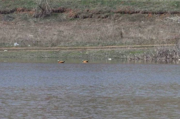 Ağustos ayında kurumaya başlayan Kızılca göleti yeniden doldu 