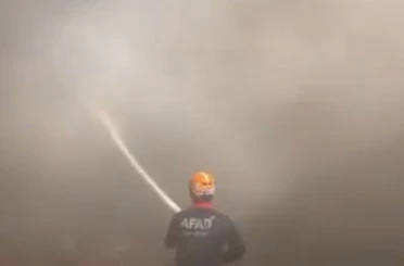 Ahır yangınında 15 küçük ve 8 büyükbaş hayvan telef oldu 