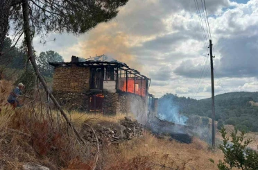 Ahırda çıkan yangın ormana sıçradı, büyümeden söndürüldü 