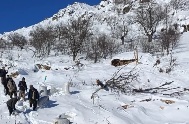 Ahırların üzerine çığ düştü, küçükbaş hayvanlar telef oldu 