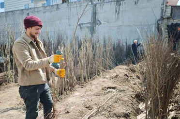 Ahlat’ta meyve fidanlarına ilgi 