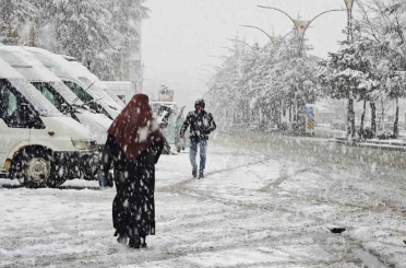 Ahlat’ta nisan karı etkili oldu 