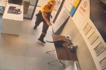 Akaryakıt istasyonunda kedinin saldırdığı kargayı görevli kurtardı 