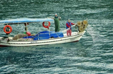 Akdeniz Koruma Derneği’nden ‘Dünya Balıkçılık Günü’ mesajı 