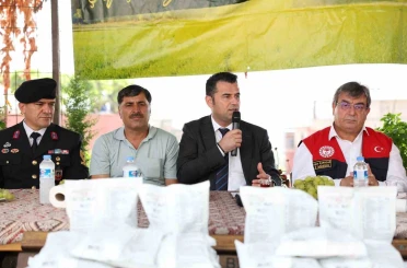 Akdeniz’de meyve sineğiyle mücadeleye ilaç desteği 