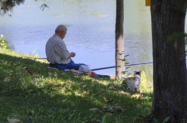 Akıllı sokak kedisi balık tutan adamın başından ayrılmadı 
