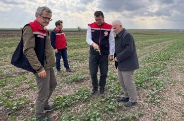 Aksoy: "Anıza ekim, yağmurun emilimini artırır ve buharlaşmayı azaltarak rutubeti toprakta tutar" 