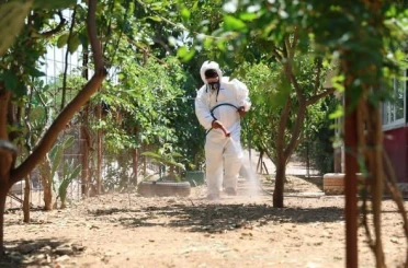 Aksu Belediyesi’nden kene ihbarlarına müdahale 