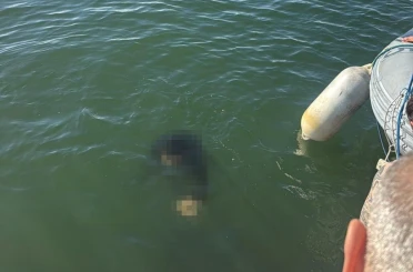 Akülü tekerlekli sandalyesiyle denize düşen kişi kurtarılamadı 