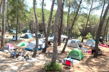 Akyaka Gökova Orman Kampı yeni düzenlemelerle tatilcilerin gözdesi oldu 