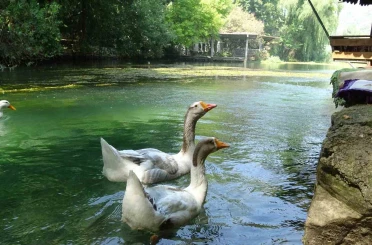 Akyaka’yı aratmayan Bucak Vadisi doğaseverlerin gözdesi 