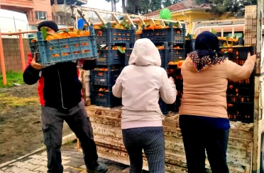 Alaçatı’dan Hatay’a dayanışma köprüsü 
