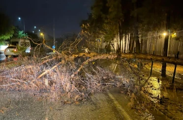 Alanya Belediyesi olumsuz hava şartlarına karşı teyakkuzda 