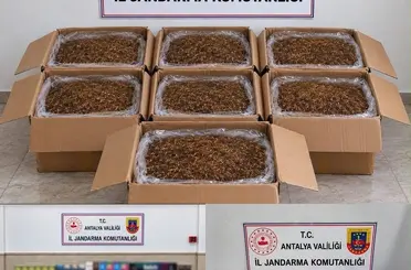 Alanya ve Döşemealtı’nda kaçak tütün operasyonu
