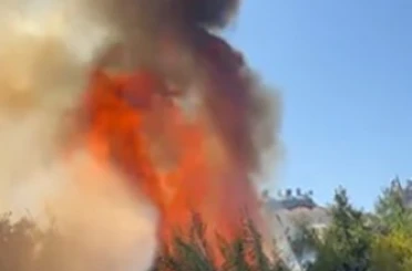 Alanya’da çalılık alanda çıkan yangında 2 sera ve 2 dönüm arazi zarar gördü 