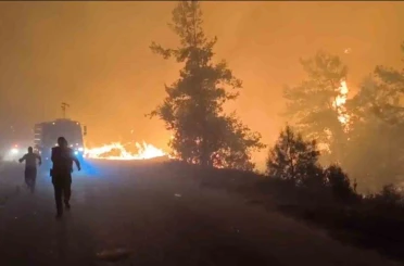Alanya’da orman yangını 