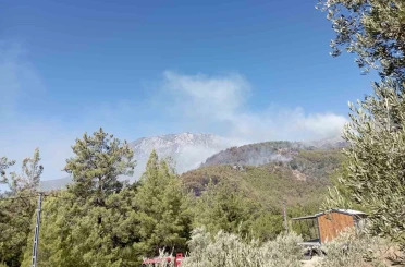 Alanya’da ormanlık alan yangınları kontrol altına alınmaya çalışılıyor