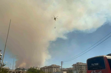 Alanya’da ormanlık alanda yangın 