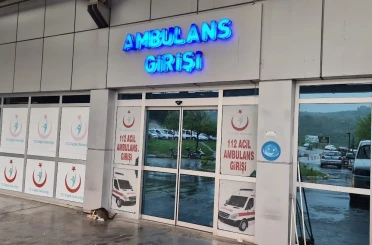 Alaplı’da ’pat-pat’ kazası: 2 yaralı 