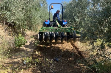 Alaşehir’de çiftçilerin yağmur sevinci 