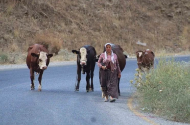 Alevlerden kaçtılar, hayvanlarını ve kendi canlarını zor kurtardılar 