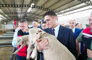 Aliağa’da üçüncü etap damızlık küçükbaş dağıtımı yapıldı 