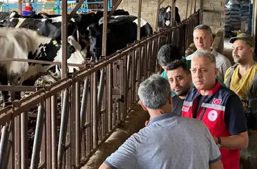 Altınözü’nde hastalıktan ari işletme sayısının artırılması için çalışma yürütülüyor
