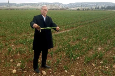 Altun, "Yağışlar AB Tescilli Araban Sarımsağının kalite ve rekolteyi arttıracak" 